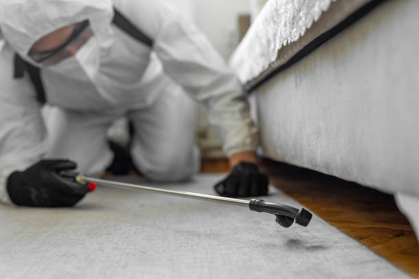 Professional Termite Control technician working in Hartsville, SC