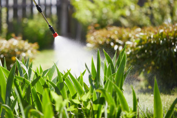 24/7 Emergency Termite Control experts in Hartsville, SC