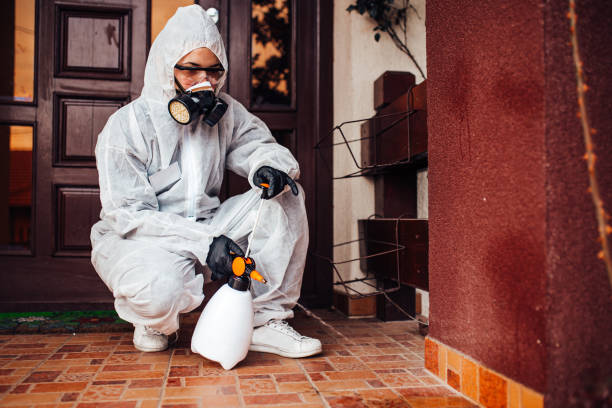 Reliable Termite Control contractor in Hartsville, SC by Nex Pest Control